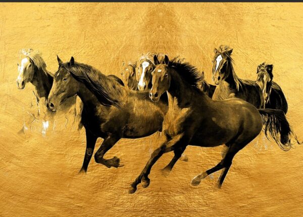 Força Selvagem – Cavalos no Deserto - Image 2