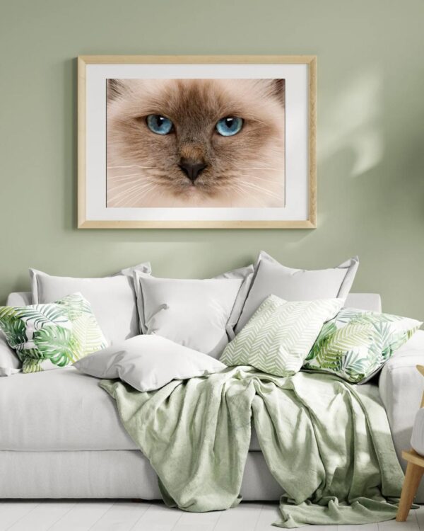 Olhar Felino – Arte Decorativa de Gato